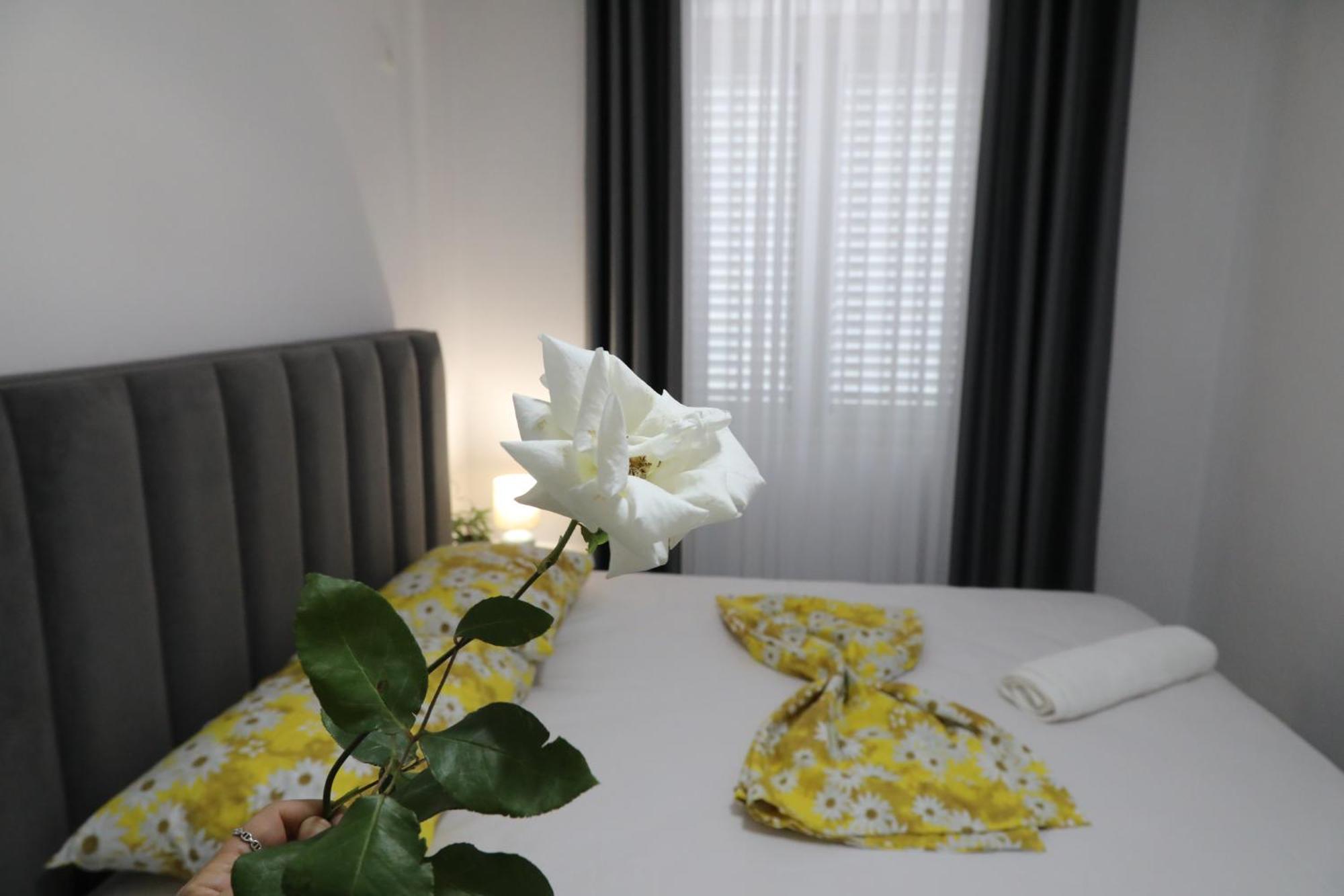 Rozafa Guest Room Center Шкодер Экстерьер фото