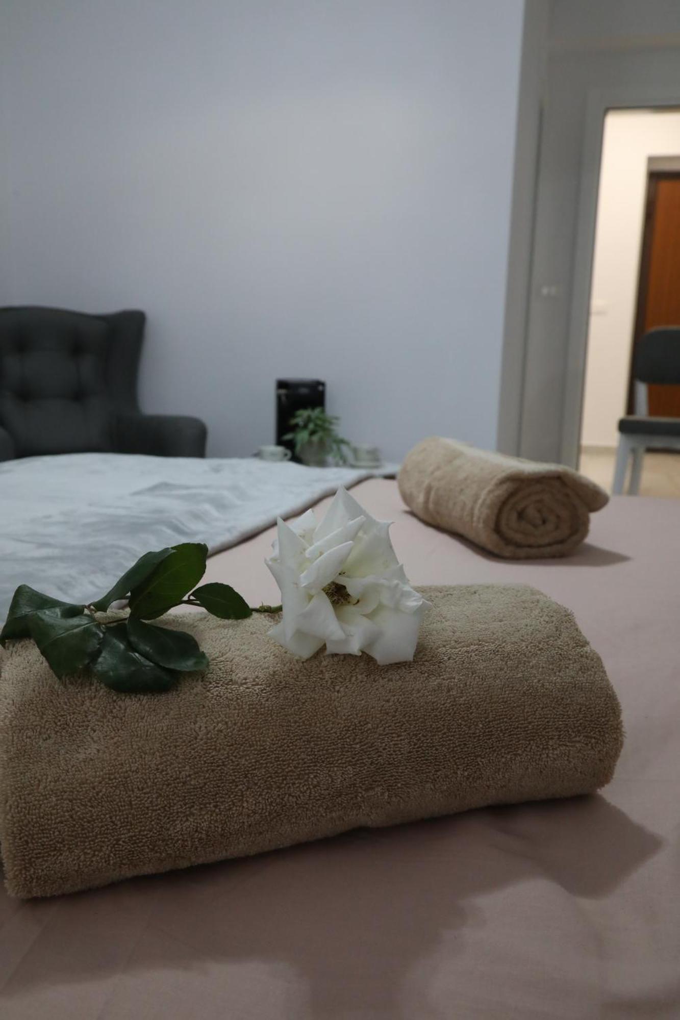 Rozafa Guest Room Center Шкодер Экстерьер фото